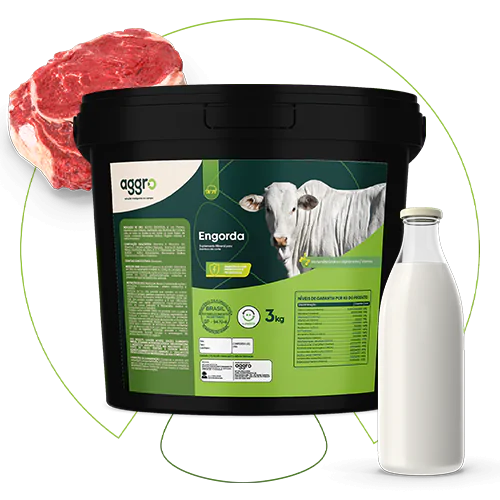 Linha Animal