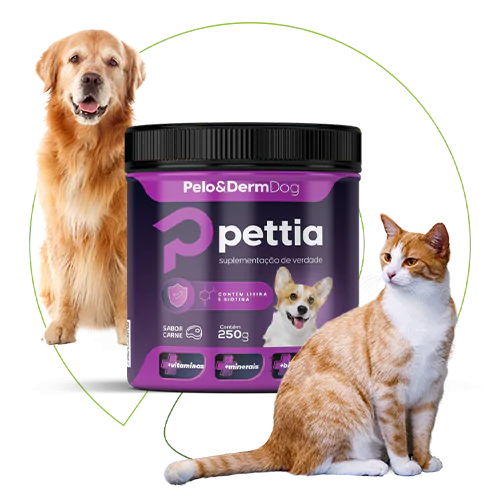 Linha Pettia